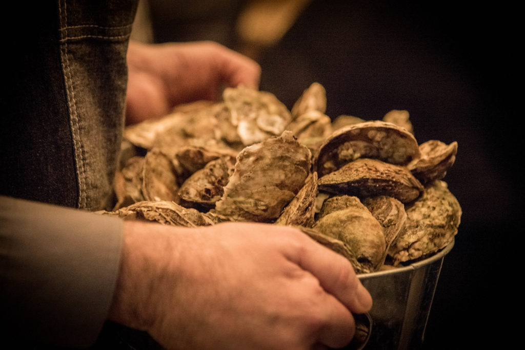 44344335560_eb20f88172_h